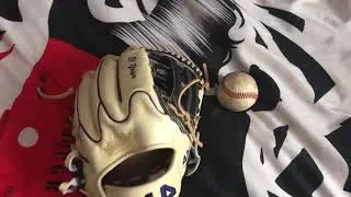 Baseball Glove Review: 44 pro signature series crown tip