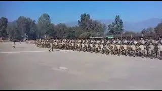 BSF DRILL