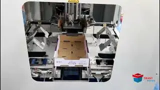 Automatic tray forming machine for blueberry 