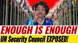 ENOUGH IS ENOUGH!  UN Security Council EXPOSED!