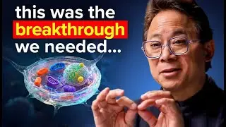 Scientists Reveal How Stem Cells Increase in 30 Days