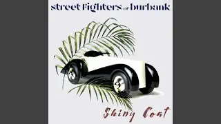 Shiny Coat
