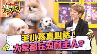 Gino拍戲哭不出來全靠「牠」？看一眼愛犬照片秒落淚！唐綺陽感性金句：「愛上動物.靈魂才會覺醒」#11點熱吵店 20260108 拆條精華篇｜#徐新洋 #王敏淳 #Gino #宋哥 #陳華#林襄#娜亞