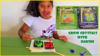 Science by me - Grow Crystals with Harshi