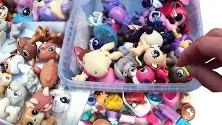 PETSIJAHDISSA LASTENKIRPPIKSELL&Auml; || Littlest Pet Shop