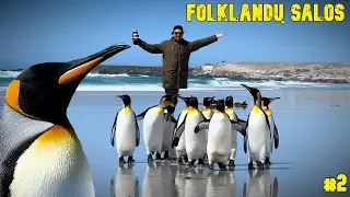 FOLKLANDŲ SALOS #2: NIEKO GRAŽIAU NESU MATĘS!