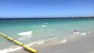 Protecting Sharks with Eco Shark Barrier