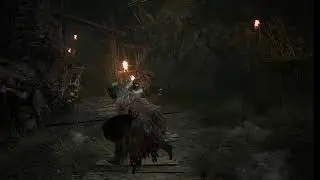 Lords of the Fallen / Anfänger versucht zu überleben :D