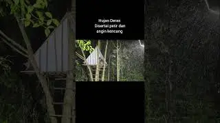 camping hujan berteduh di dalam rumah pohon, relaxing rain sound