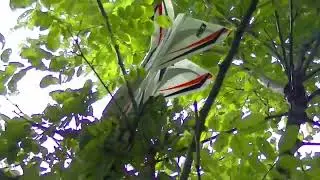 Convergence Tree Landing CRASH Cub Flip    #SHORT