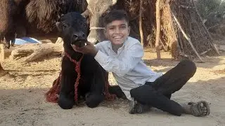 कार कलेक्शन में फिर से धमाका 💥 नई कार एंट्री 🚘🚘😁😂