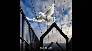 Free To Sing