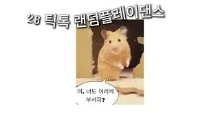 2026 틱톡 랜덤플레이댄스💕지금 제일 핫한 춤 모음!#틱톡랜덤플레이음원#2026틱톡#틱톡랜플#틱톡#랜플💖