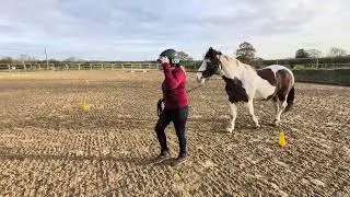 Sara bird and Hector Dec class 1 led