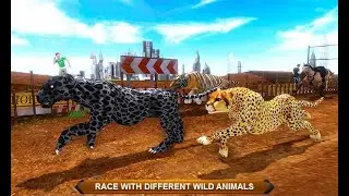 Black Wild Panther Crazy Racing Panther, Lion, Horse, Cheetah, Tiger - Android Gameplay #8