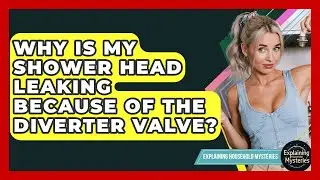 Why Is My Shower Head Leaking Because Of The Diverter Valve? - Explaining Household Mysteries