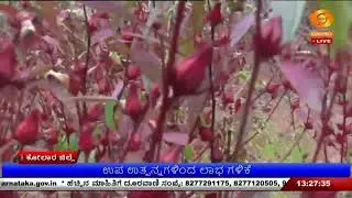 LIVE- DD CHANDANA NEWS 13-01-2026 01.00PM