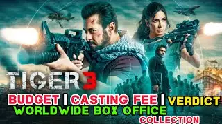 Tiger 3 Movie Budget vs box office collection | Tiger 3 Movie 2023 | Budget | verdict | Collection