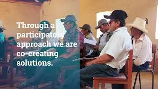 Video COHESION TeamPeru,Nov 2017
