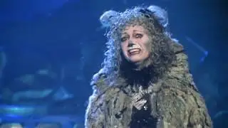 Memory (cats) remix