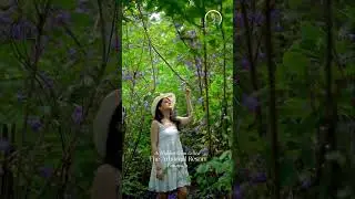 Hidden Luxury Forest Retreat Near Mumbai | Peaceful Lonavala Getaway at The Arboreal Resort