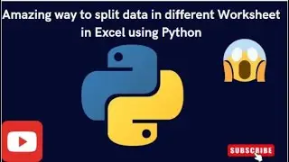 Amazing way to split data in different Worksheet in Excel using Python. #Excel #VBA and #Python