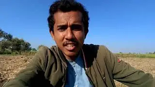 امرود کا درخت جس پر چھوٹے چھوٹے امرود لگے ہوئے#viral #vlog #viralvideo #subscribe #villagelife 
