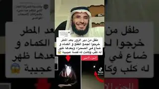 قصة حقيقه عجيبة ! لطفل من دير الزور بعد المطر خرجوا لجمع الفقع وضاع في صحراء سورية ظهر له كلب😱