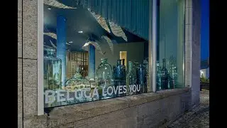 Beluga Loves You interieurvideo 2020