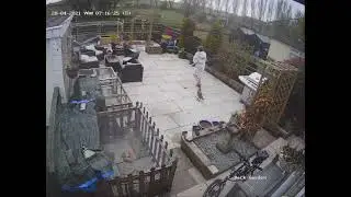 FOX ATTACK ON DUCK.