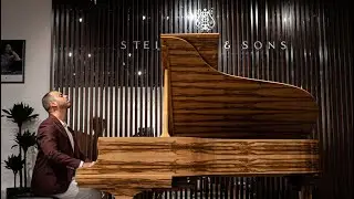 Grains of Sorrow - Plano Cauda EP | Leonardo the Space Pianist