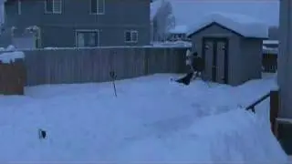 Deep Snow Dog