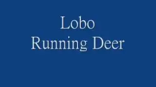 Lobo - Running Deer