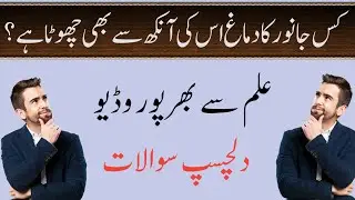 General Knowledge Questions and Answers Daily GK Quiz 2025 Boost Your Brain Power&rdquo; Gk,Quiz,Mcq,Mcqs,