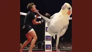 Yellow Pikachu Bird