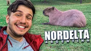 ¡Una ciudad invadida por CHIGÜIRES! 😍🇦🇷 | Nordelta, Argentina