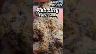 LIT Farms - Pink Kitty: Supreme Tier Ounce Review & Macro Nug Shots - Fire, BEAUTIFUL Hybrid Smoke 🔥