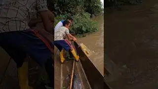 Fesing New video|Amazing 😍|fis #fish #fishing #desifishing