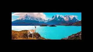 CAMINO DE LLAMAS - ANDES MUSIC
