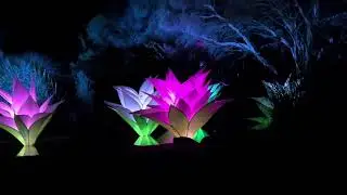 Perth Lightscape beauty 2023