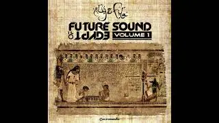 Aly & Fila - Future Sound Of Egypt Volume 1 (Full Continuous DJ Mix) (CD 2)