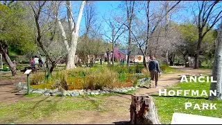 Ancil Hoffman Park