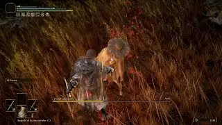 I Realized that I Can Parry Dryleaf Dane