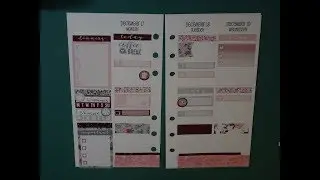 Personal Ringbound Plan with me, Ft. Piper Paper Co, part 2