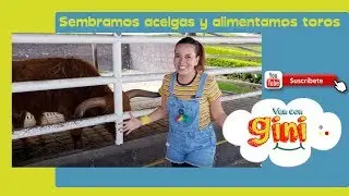 Sembrar una semilla / Qué lugares están abiertos en cuarentena / Rancho Mágico precios