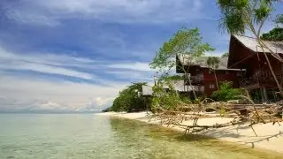 Lankayan Island, living next to turtles and sharks