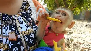 Ploy Crying To Request Mom For Eating Yellow Mango