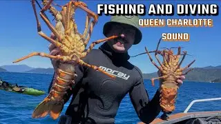 Fishing and Diving the Queen Charlotte Sound NZ - Huge Crayfish!