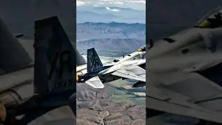 Indian Rafael down video 📸 #aviation #flying #aviationlovers #indianrafale #crash