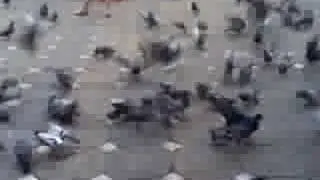 Nokia N78 video sample2